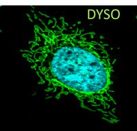 DYSO logo