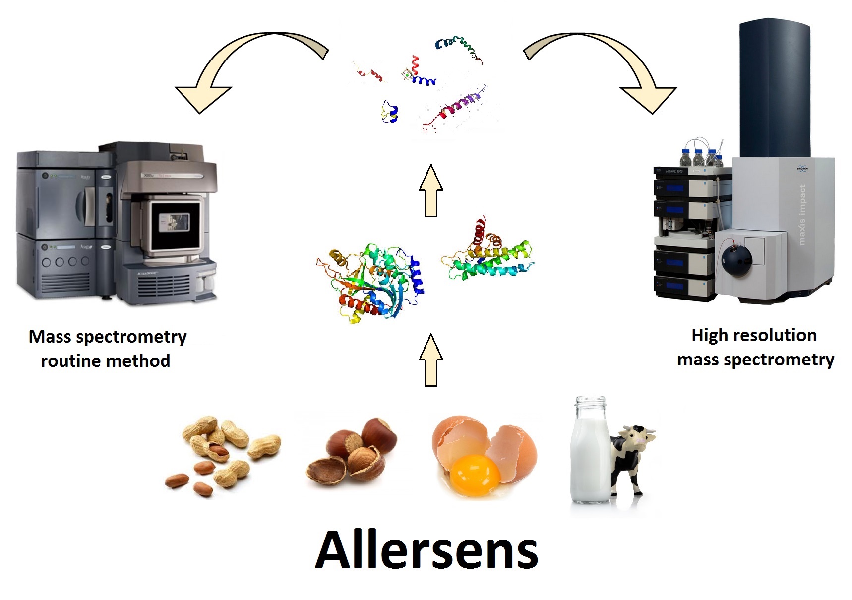 Allersens