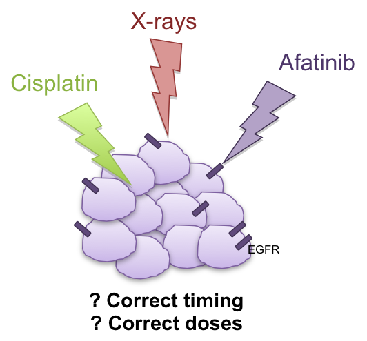 Combination of X-rays