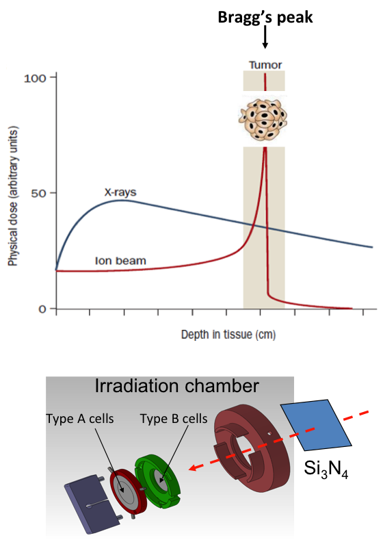 Proton irradiation