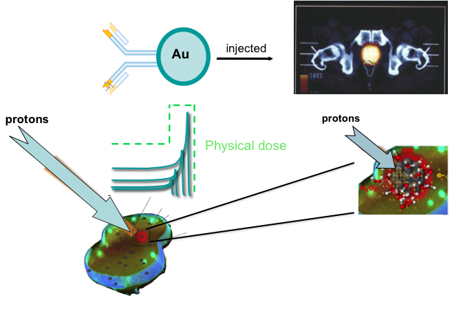 Targeted nanoparticles