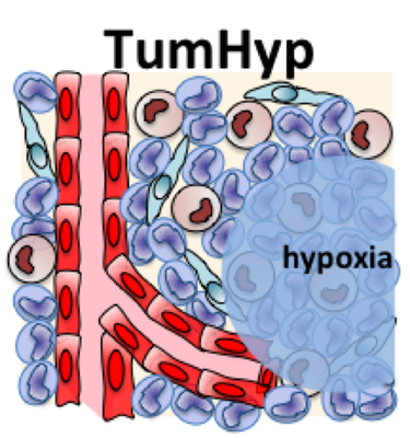TumHyp (logo)